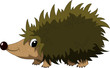 cute hedgehog cartoon
