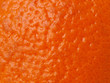 Orange texture