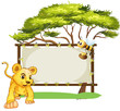 A young tiger and a bee near an empty signage