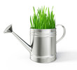 watering can