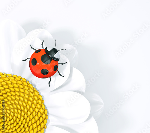 Illustration: ladybird ladybird