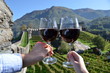 Pair of wineglasses. Bellinzona, Switzerland