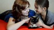 girls stroking  cat and  whisper something to each other's ear