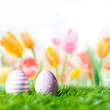 Foto: Ostereier vor Tulpenhintergrund Ostereier vor Tulpenhintergrund