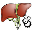Liver Cancer