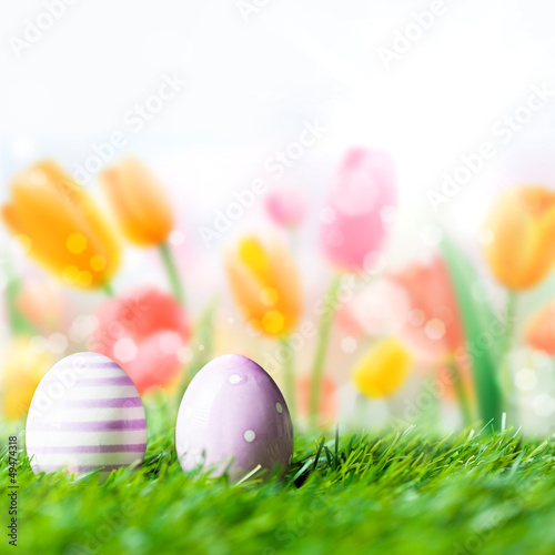 Photo: Ostereier vor Tulpenhintergrund Ostereier vor Tulpenhintergrund