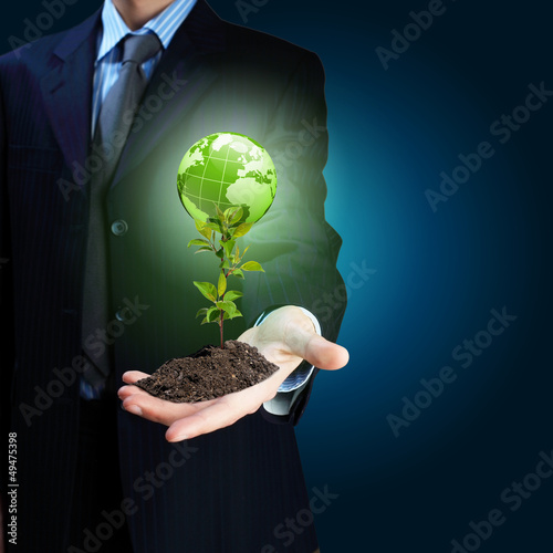 Photo: Young plant Young plant