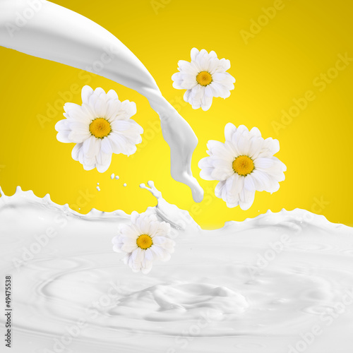 Photo: Fresh milk with camomile Fresh milk with camomile