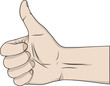 Hand with the thumb lifted upwards