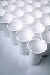 disposable dishes