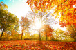 Bunte Herbststimmung