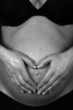 babybauch