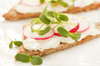 sandwiches with radish and sunflower sprouts