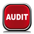 AUDIT ICON