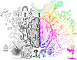 Left and right brain hemispheres sketchy doodles