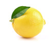 One lemon with leaf