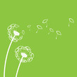 Ichthys Pusteblume
