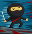 Sword Wielding Ninja ready for some action!