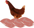 gallina italiana