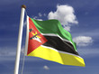 Illustration: Mozambique Flag Mozambique Flag