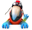 Illustration : Fun parrot Fun parrot