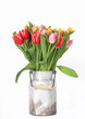 Tulpenstrauß in Milchkanne - isoliert