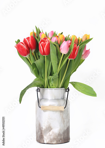 Photo: Tulpenstrauß in Milchkanne - isoliert Tulpenstrauß in Milchkanne - isoliert