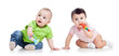 babies playing isolated