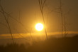 Foto: Sunset park appia old Sunset park appia old