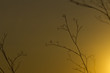 Foto: Sunset park appia old Sunset park appia old
