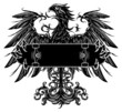 Vector: Eagle with skateboard Eagle with skateboard