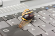 Photo: Drosselung bei LTE - Schnecke auf einer Tastatur Drosselung bei LTE - Schnecke auf einer Tastatur