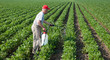 Farmer spraying soybean on field