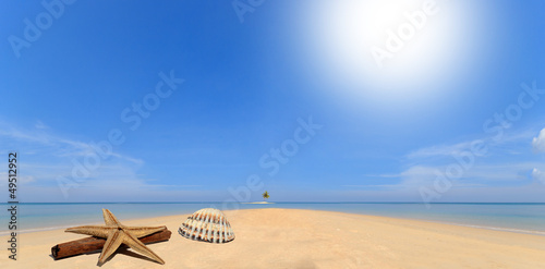 Photo: sea and coconut palm on desert island sea and coconut palm on desert island