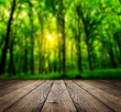 Wood
