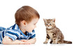 kid playing with cat pet