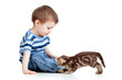 kid playing with cat pet