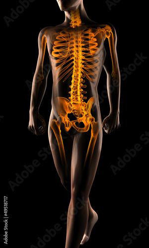 Photo: human radiography scan human radiography scan