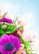 blume 1502a