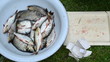 hand salt fresh raw fish and put it in metal bowl