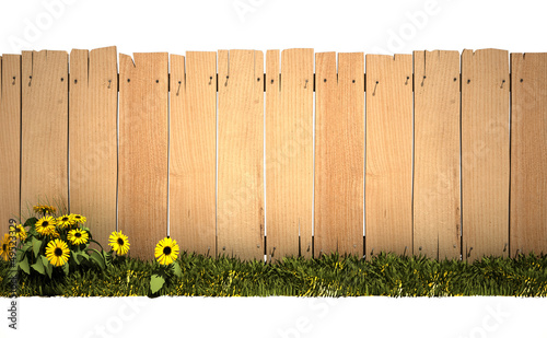 Photo: Garden and wooden fence Garden and wooden fence