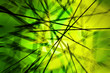 motion shatter abstract
