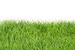 Gras