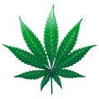 Cannabis Marijuana Marihuana Leaf - Foglia - Vector