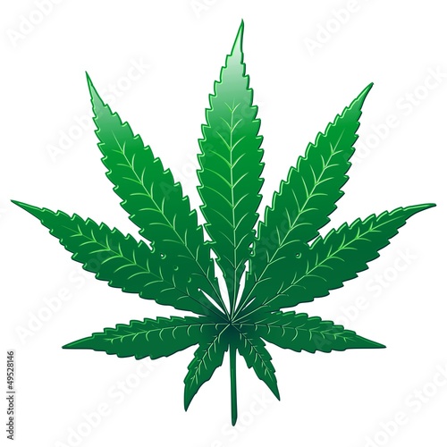 Vector: Cannabis Marijuana Marihuana Leaf - Foglia - Vector Cannabis Marijuana Marihuana Leaf - Foglia - Vector