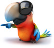 Fun parrot