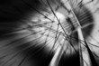 dark speed abstract