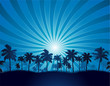 Tropical summer sunrays background with palm tree silhouette