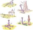 Native Australian Sketches