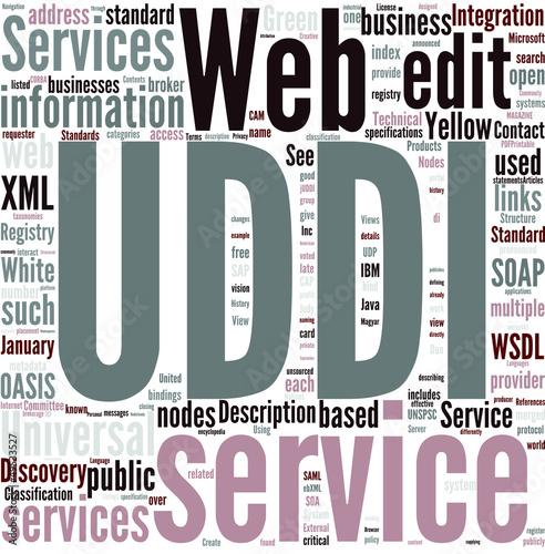 Vector: Universal Description Discovery and Integration Concept Universal Description Discovery and Integration Concept